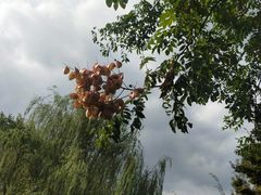 -梁鸿国家湿地公园