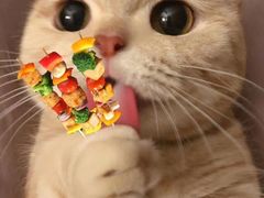 -小七碳火烧烤(越溪店)