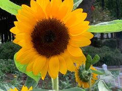 -玄武湖景区-情侣园游乐场