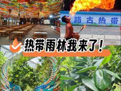 -呀路古热带植物园