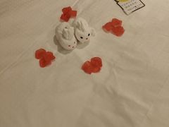 -大同王府至尊酒店