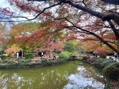 -秋霞圃