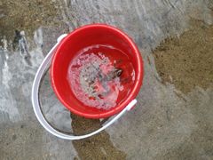 -碓臼峪自然风景区