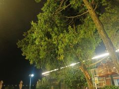 -蘇河湾·新鲁菜·泰山宴(泰山店)