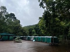 -野象谷景区