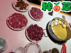 -汕头八合里海记牛肉店(清河店)