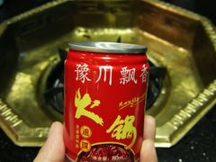 -蜀九香火锅(彩虹店)