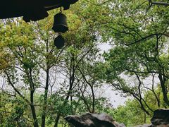 -汇龙潭