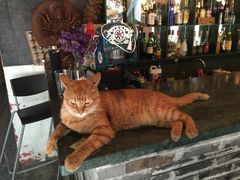 夫子庙国际青年旅社-南京夫子庙国际青年旅舍(平江府路店)