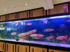 -弘安丽水温泉酒店