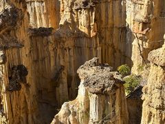 -元谋土林景区(物茂土林)