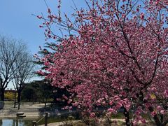 -国家植物园南园