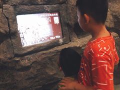 -房山世界地质公园博物馆