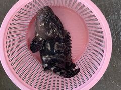 -庆余生平价生猛海鲜(海棠湾林旺夜市店)
