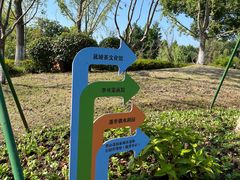 -西山漾湿地公园