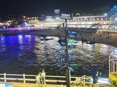 -北戴河碧螺塔海上酒吧公园