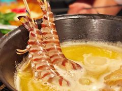 花竹虾-鲜入围煮花胶鸡海鲜火锅