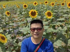 -光明小镇欢乐田园