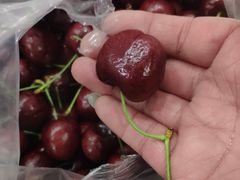 -双福水果批发市场