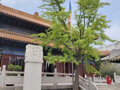 -挂甲禅寺