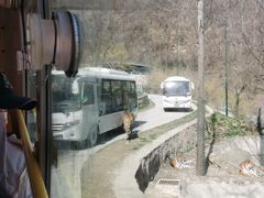-栾川竹海野生动物园