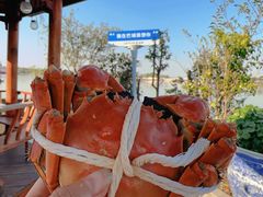 -秋月舫(阳澄湖湖滨中路店)