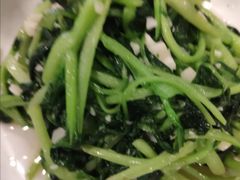 小青菜-一楼食业·美食人家
