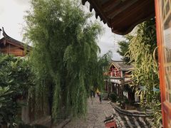 -王老师咖啡烘焙室
