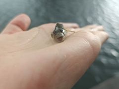 -绍兴启迪乔波冰雪世界