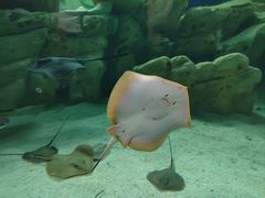 -珠海长隆海洋王国