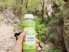 -大岭沟猕猴桃谷风景区