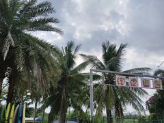 -神州半岛海上运动俱乐部