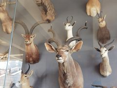 -陕西自然博物馆