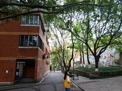 -黄桷坪涂鸦艺术街