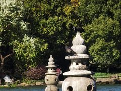 -西湖游船
