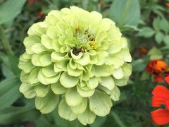 -北京国家会计学院