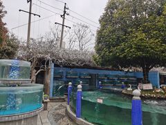 -天怡·鱼工厂(临江店)
