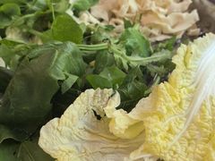 -金鼎雪山牦牛杂火锅(理县总店)