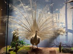 -陕西自然博物馆