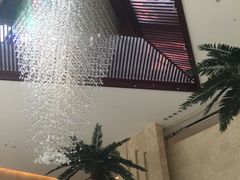 -常州环球恐龙城维景国际大酒店