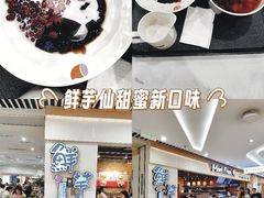 -鲜芋仙(观音桥大融城LG店)
