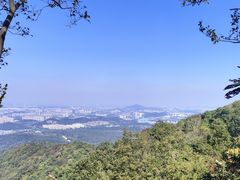 -紫金山山顶公园