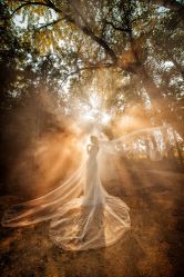 点击看大图 -巴黎婚纱摄影工作室