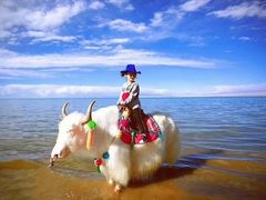 -青海湖国家重点风景名胜区