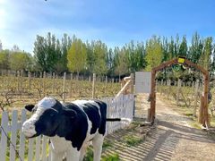 -安德鲁户外烧烤帐篷营地(马泉营店)