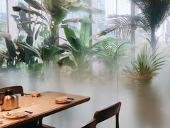 -佬肥猫(七宝宝龙店)