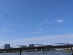 -春花秋色城市公园