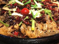 老板恋上鱼-老板恋上鱼(高新万达店)