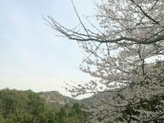 -白马涧龙池景区