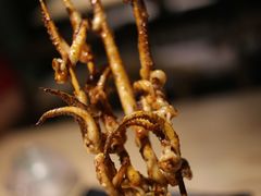 串烤鱿鱼须-前女友的烧烤店